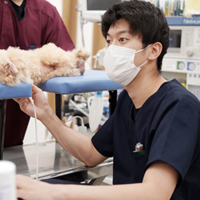 ALLONE動物病院 negishi病院