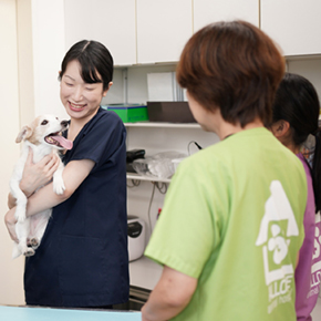 ALLONE動物病院 negishi病院